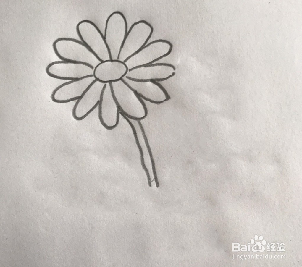 【简笔画】蒲公英的分步画法