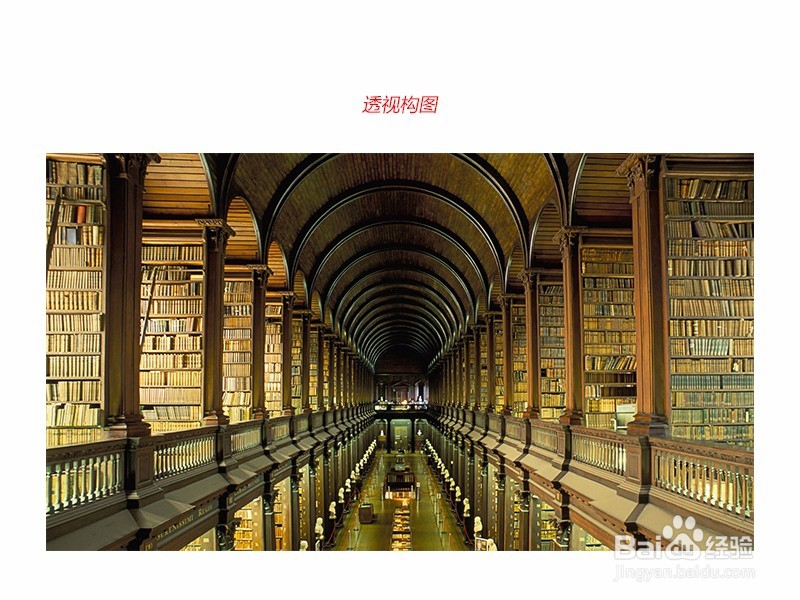 手机拍照怎么拍比较好看，要怎么构图呢？