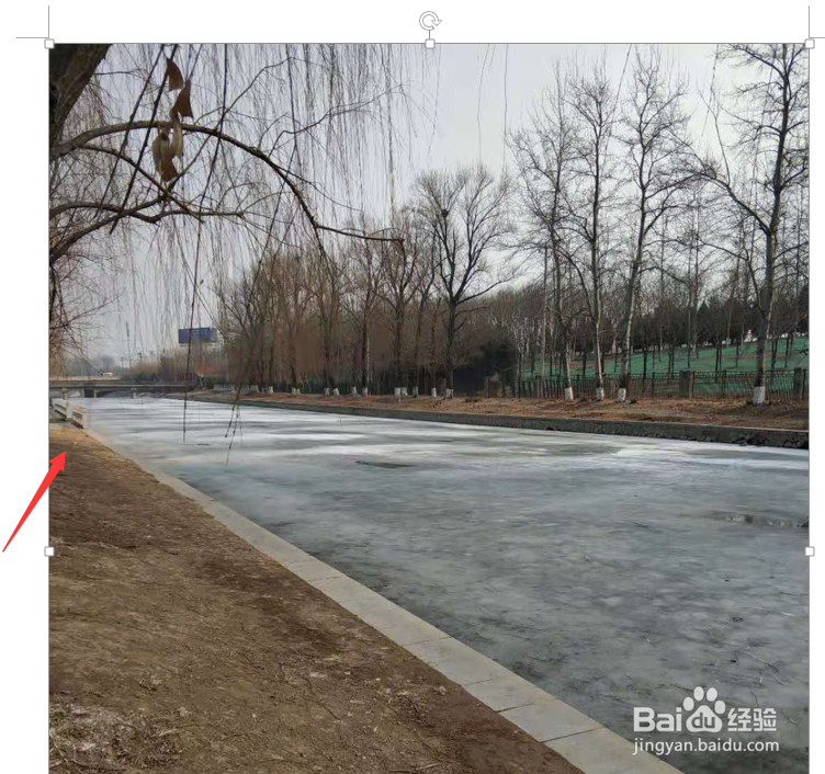 Word批量调整图片的大小