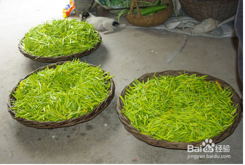 日常有益补血的食物