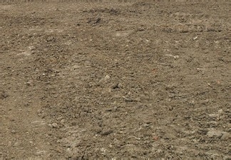 到底是什么在影响中国的房价