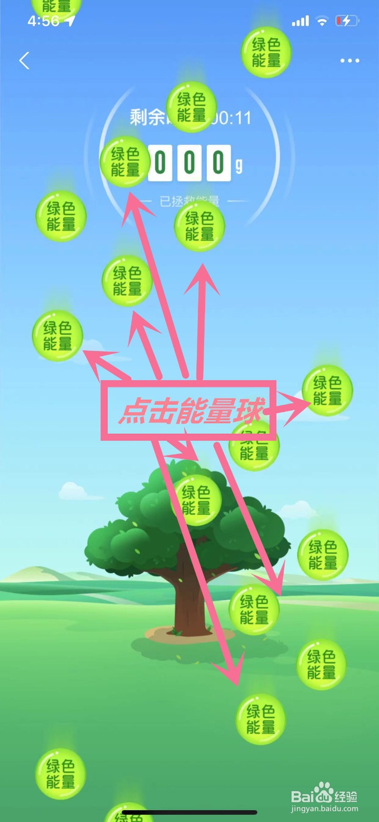 支付宝蚂蚁森林怎么获得更多能量