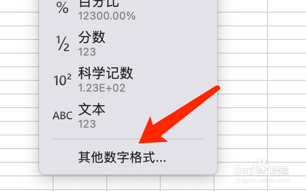 Mac版Excel如何缩小字体填充？
