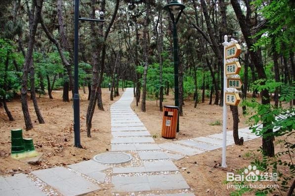 威海的免费景点第二波