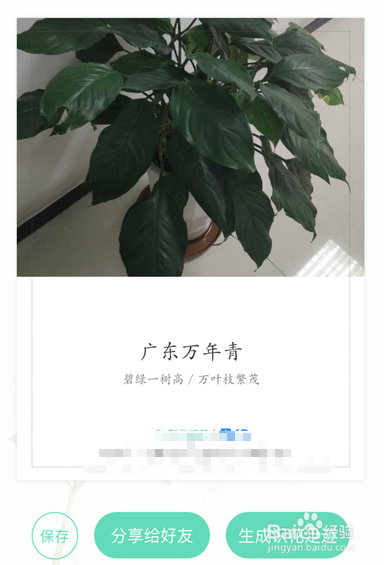当不知道花的名字时,可用支付宝形色识花!