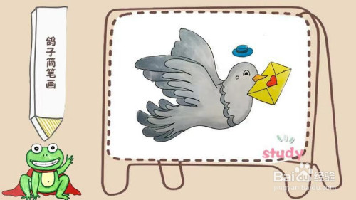 鸽子的颜色怎么涂