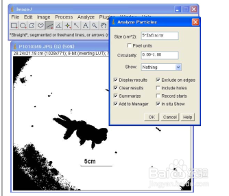 如何测定图片中物体的大小?