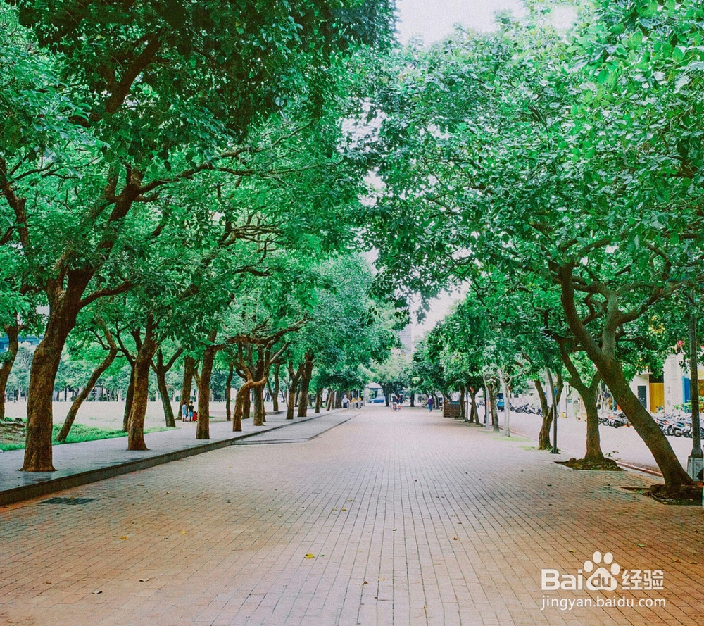 如何在高速公路上安全行驶