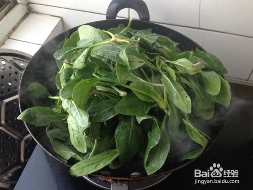 胖胖解馋的美食 素炒菠菜苗 百度经验