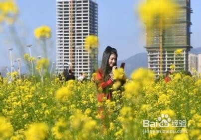 脸上过敏该怎么办
