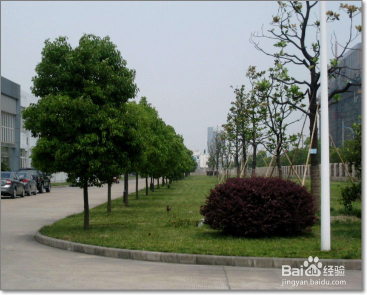 如何合理有效管理厂区环境