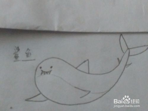 鲨鱼 彩铅绘画详细步骤教程！！