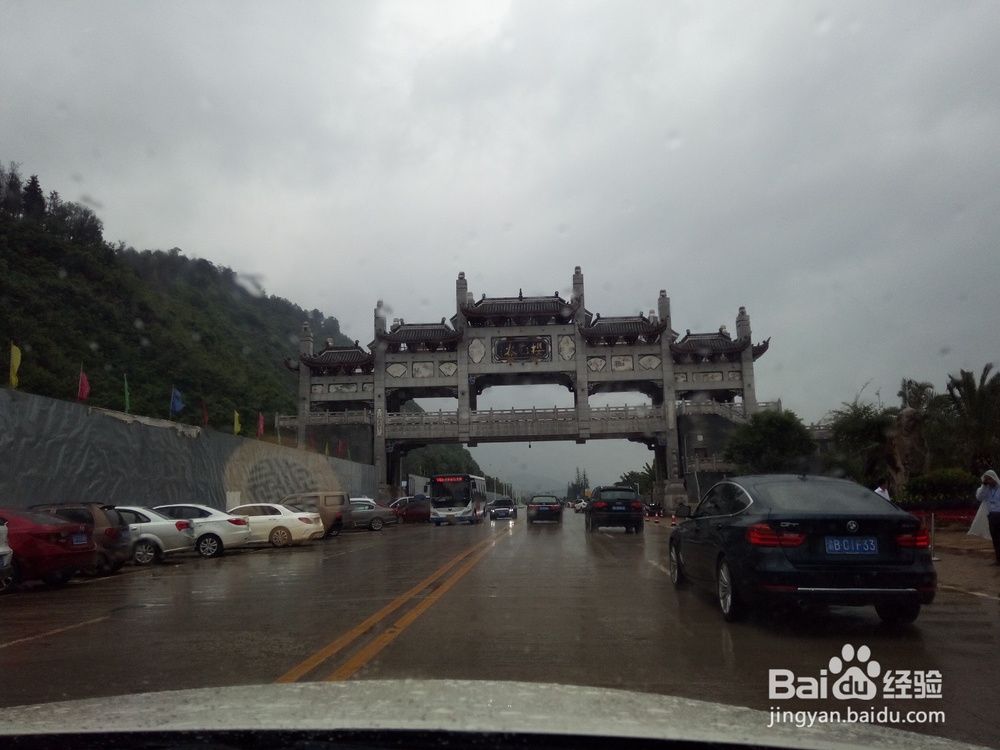 云南最美玉溪抚仙湖之樱花谷湿地公园情侣约会旅