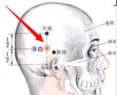 浮白穴穴位位置图及作用