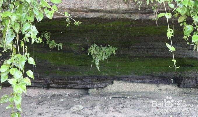 涠洲岛自由行攻略