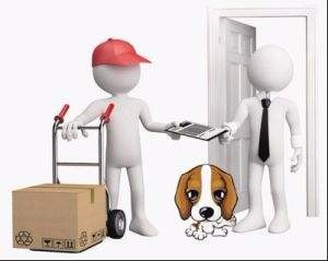 火车托运宠物有哪些规定