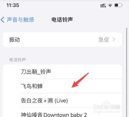 苹果手机怎么换铃声
