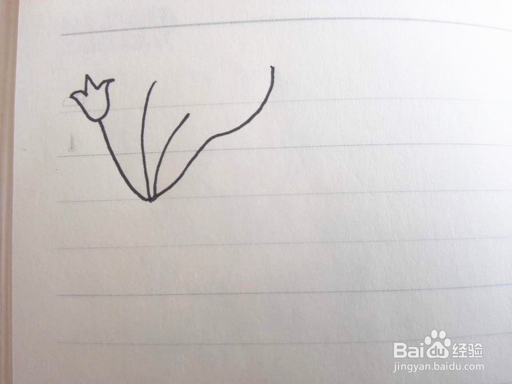 简笔画之铃铛花