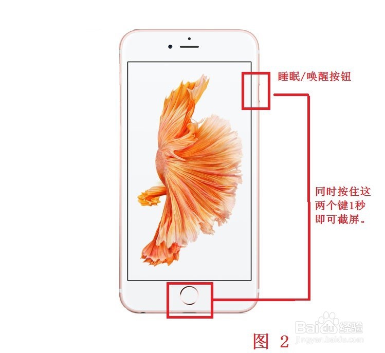 iPhone 6s Plus , iPhone 6s 手机如何截屏