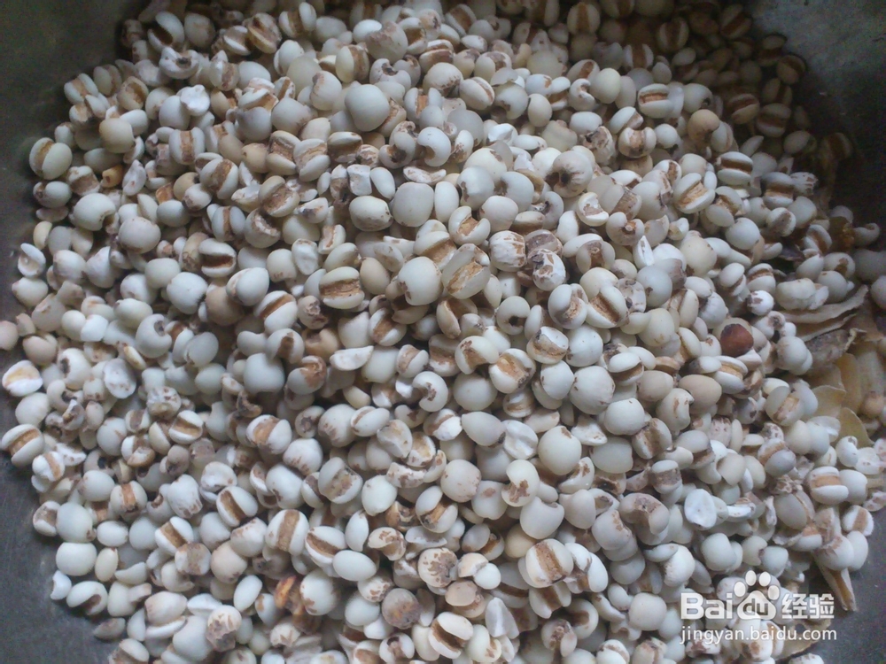 儿童肺炎痊愈巩固疗效用百合薏米