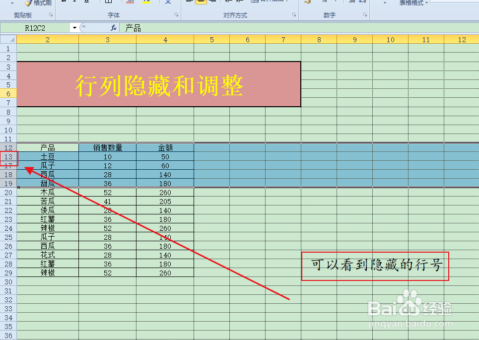 Execl表格中行列的隐藏和调整方法