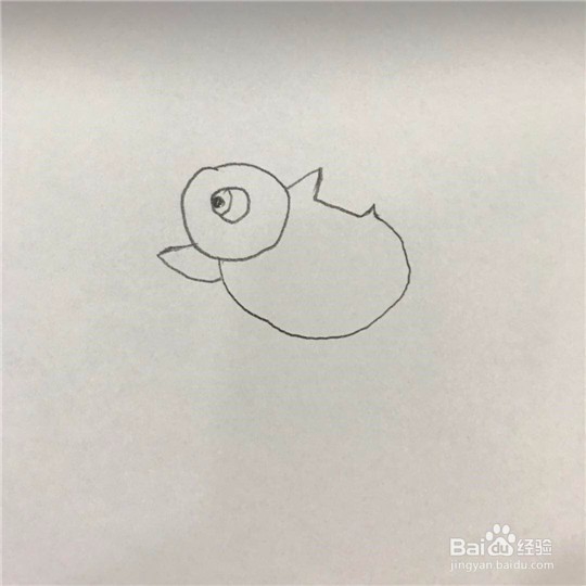 小鸡的简笔画画法