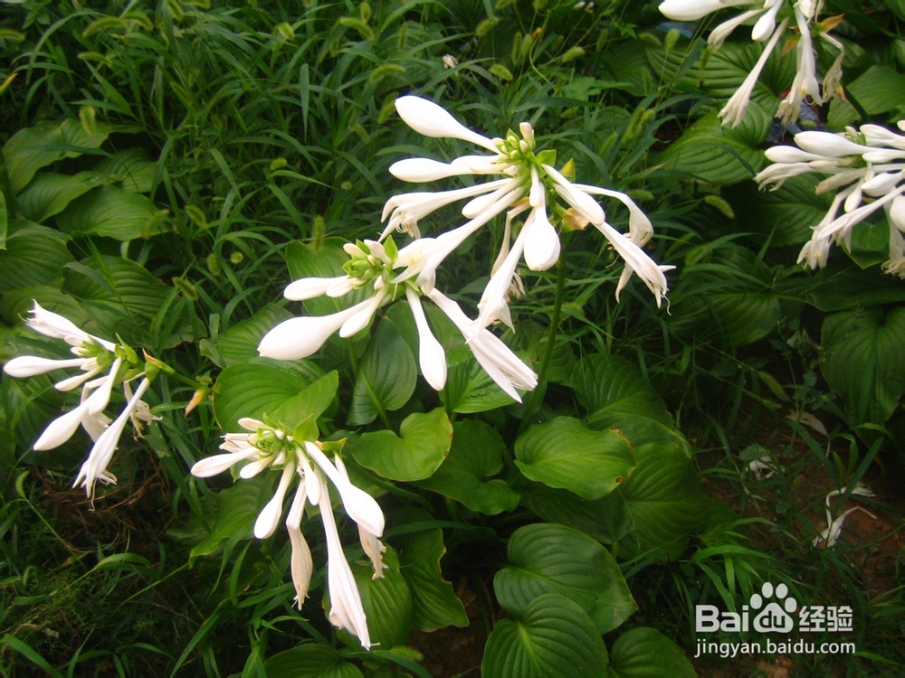 孩子的教育是潜移默化的