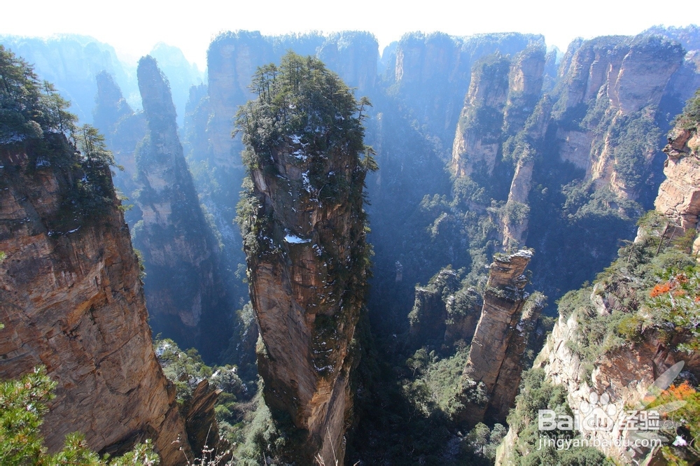 佛山到张家界旅游攻略