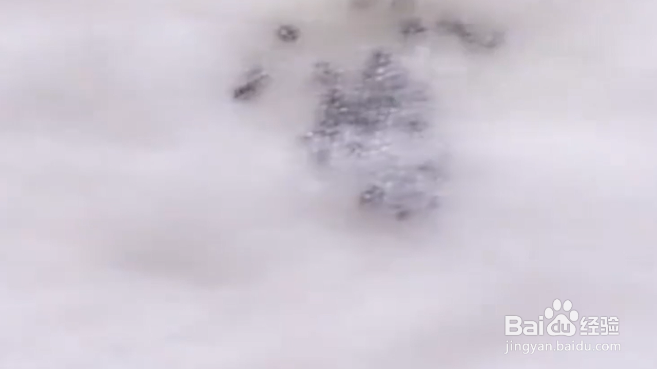 怎样学会实用的种植小技巧