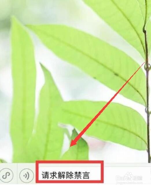 王者荣耀被禁言怎么办