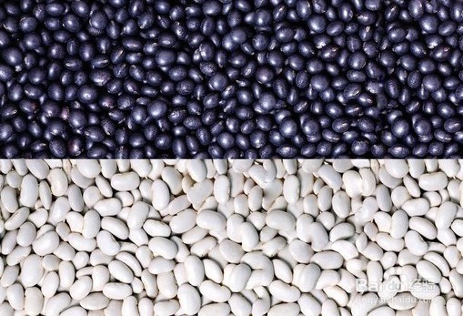 儿童益智游戏之分豆豆