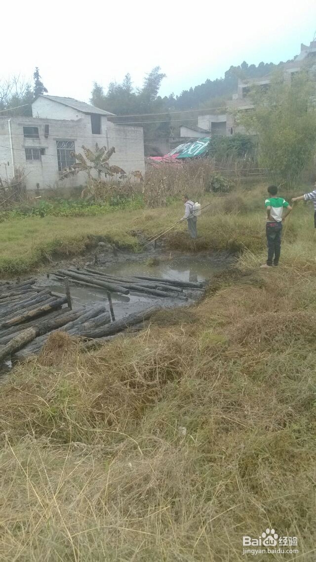 藤县古华村旅游攻略