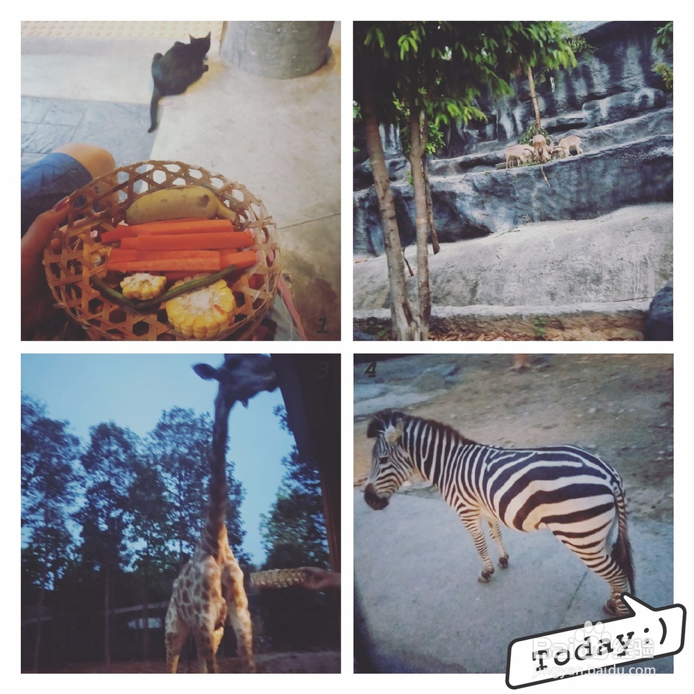 清迈刺激好玩的项目(2018.4.1更新)