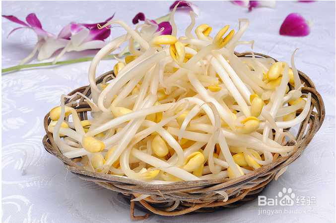 春夏季节清火的几种食物