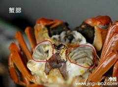 螃蟹哪些部位不能吃？？？