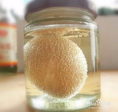 如何用鸡蛋做半透膜