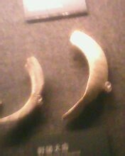 太阳神鸟——金沙遗址游览