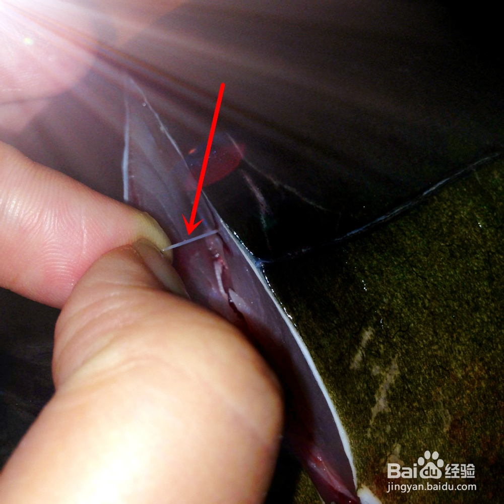 吃鲤鱼如何给鲤鱼抽筋?