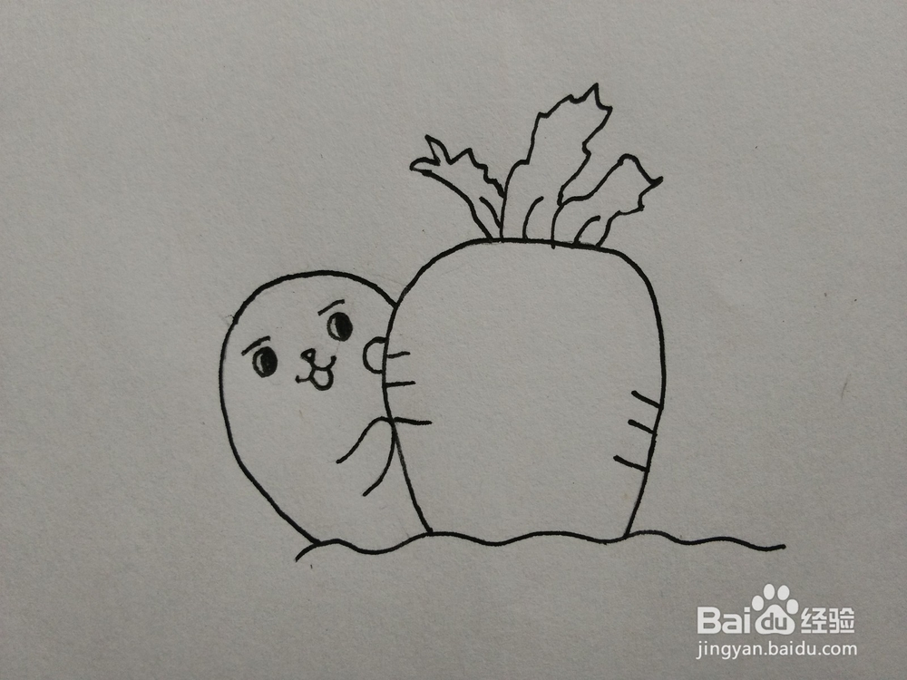 简笔画——怎么画小兔子和胡萝卜