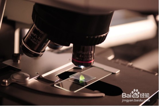 绿茶的七大保健妙用