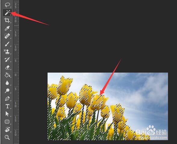 ps如何填充背景