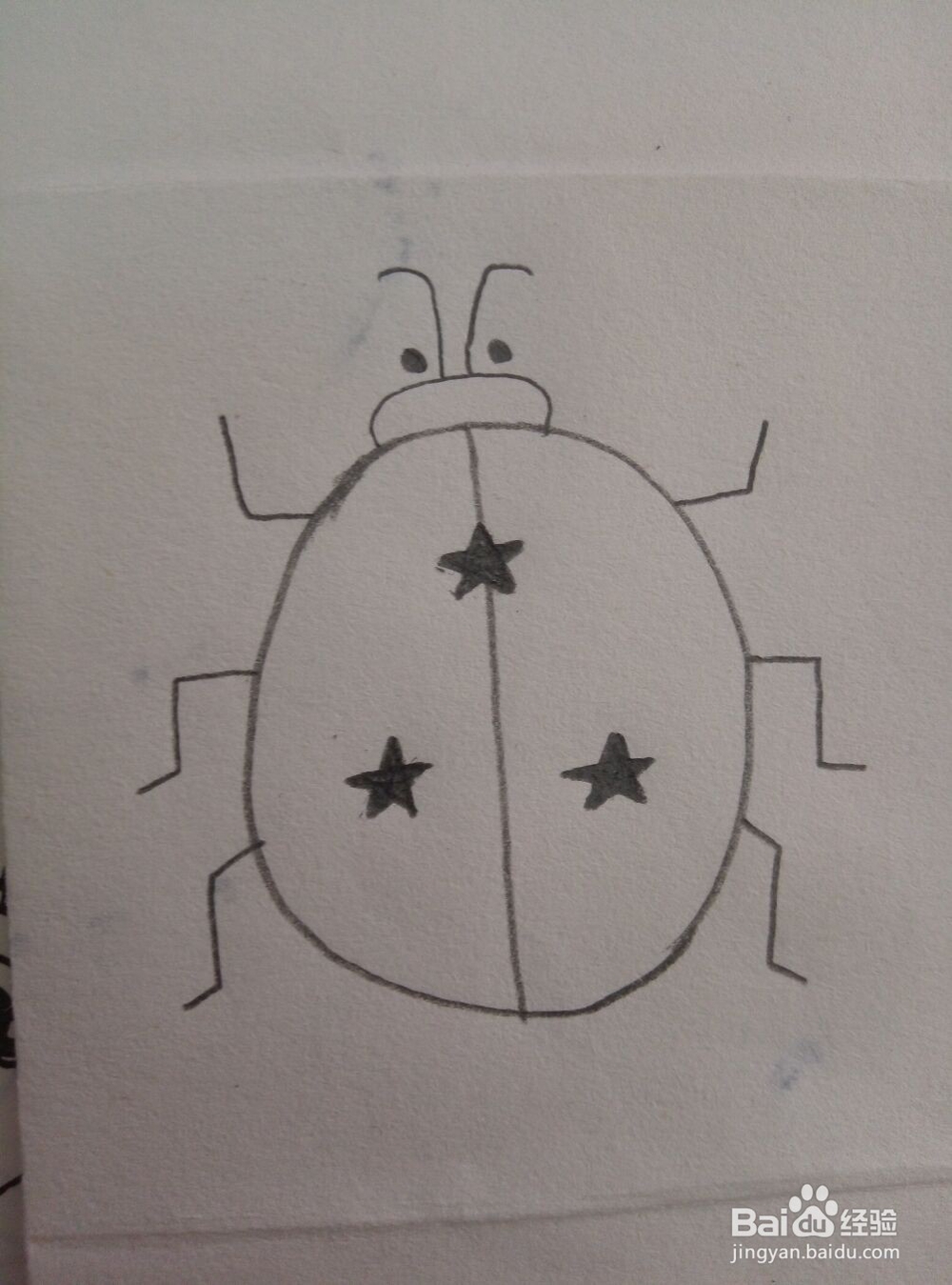 三颗小星星的瓢虫你会画吗？