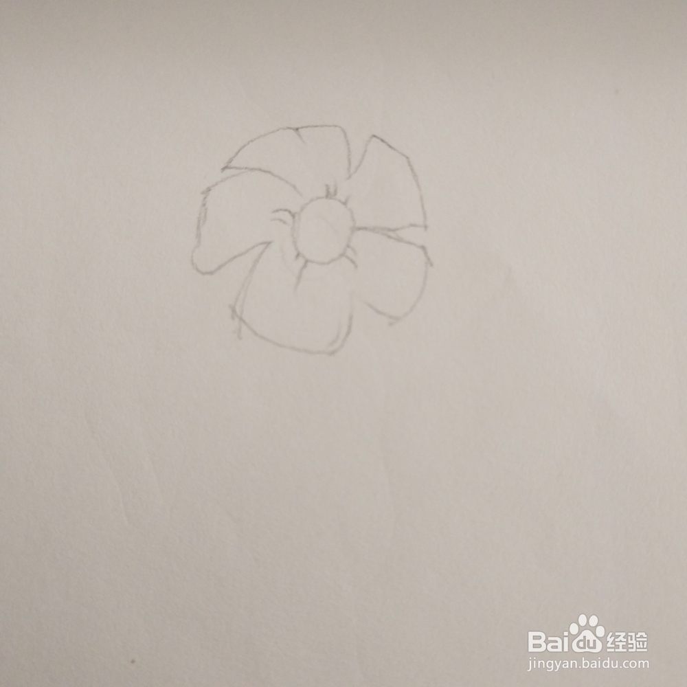 简笔画36:花朵画法