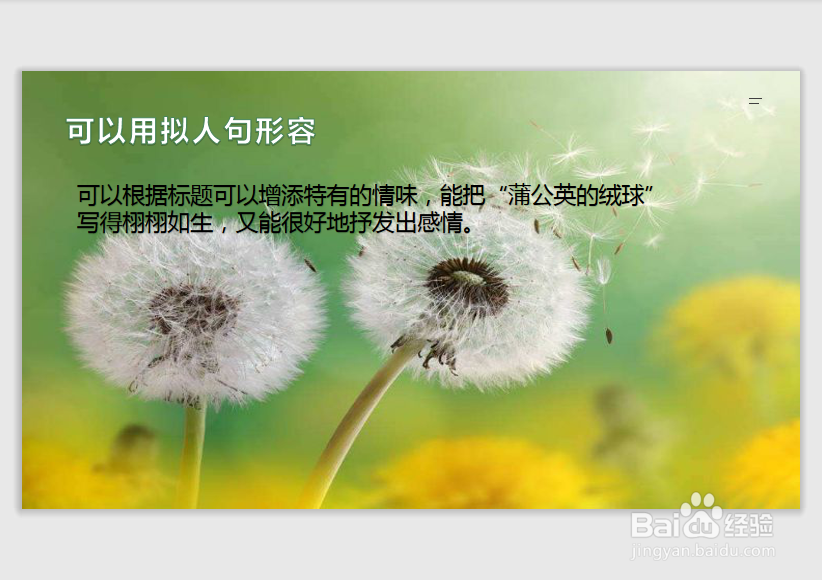 蒲公英的绒球怎么形容