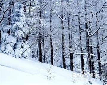 冬季养生我们应该吃那些食物