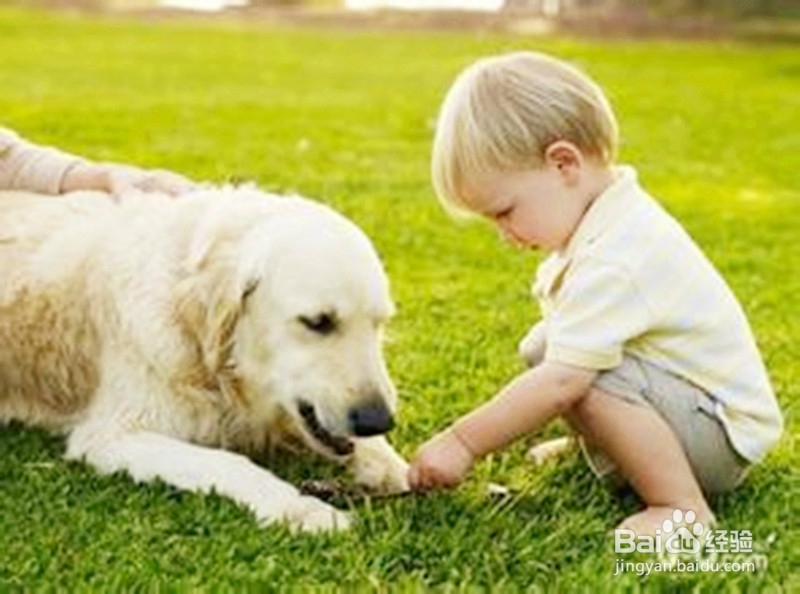 让孩子克服胆小的毛病