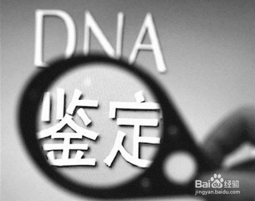 四个月的胎儿可以做亲子鉴定吗?