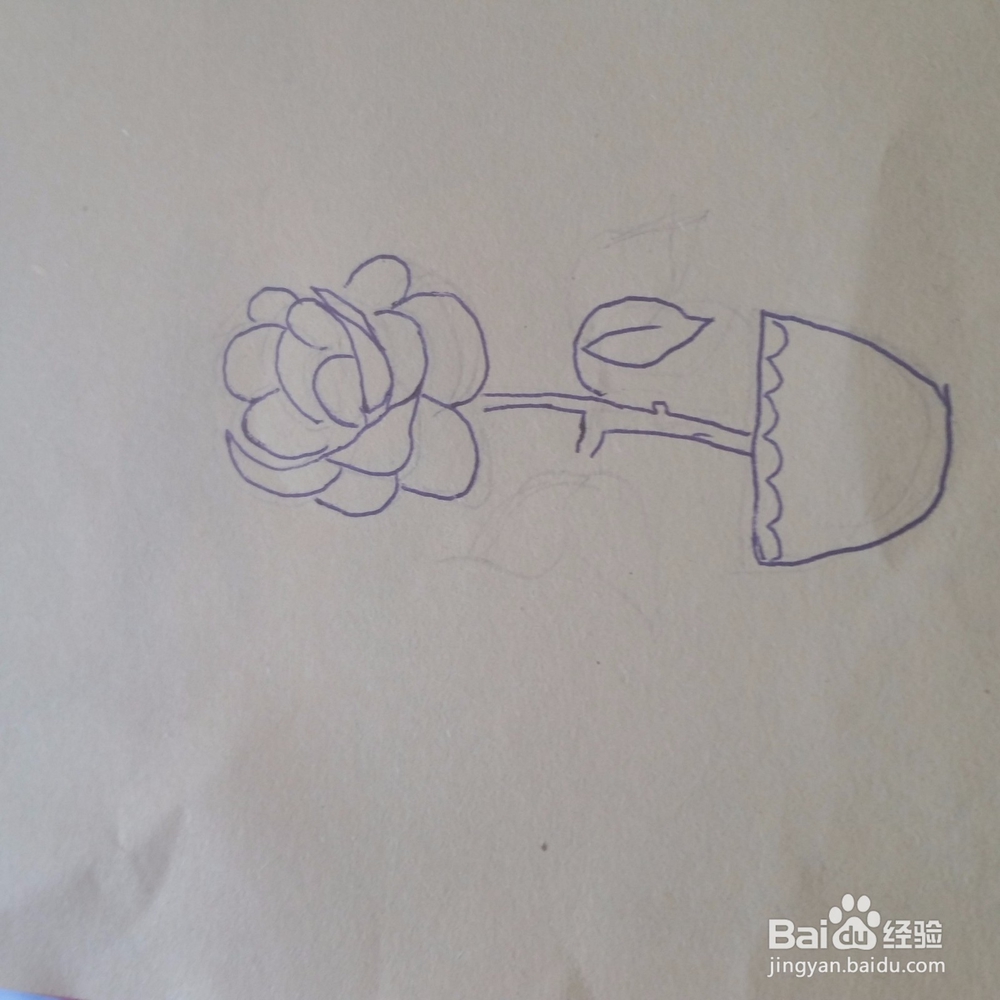 牡丹花简笔画