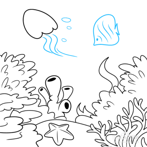 珊瑚礁简笔画画法图片