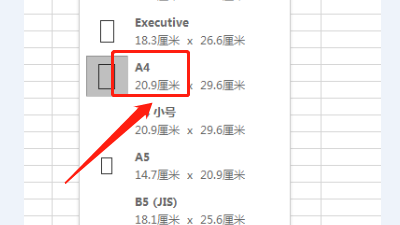 怎样在excel中去设置A4纸张呢？